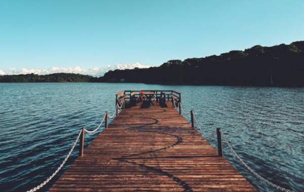 如狐狸一般機智圓滑的星座，擁有敏銳的洞察力，擅長於陰謀和陽謀