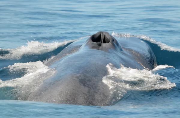 橫看成嶺側成峰，20張照片-換個角度看世界