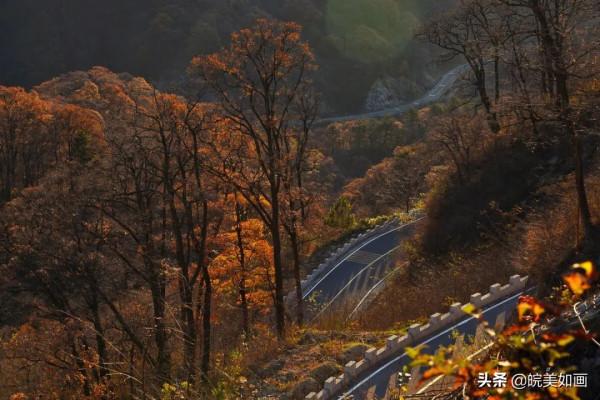 安徽秋遊,五個自駕推薦地|去趕赴秋天的盛會 安徽秋遊,五個自駕推薦地|去趕赴秋天的盛會