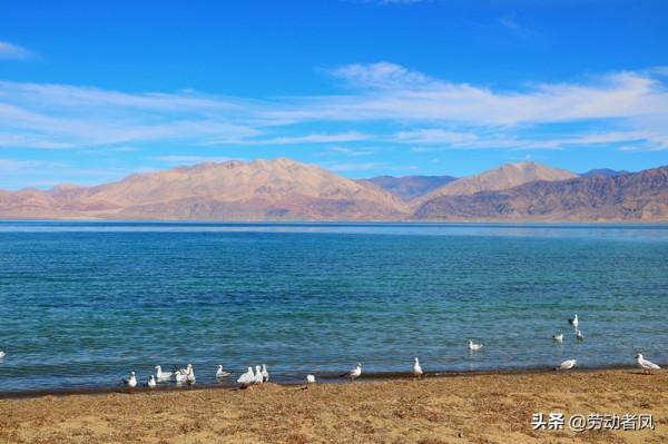 大唐小唐歷險記—遇見班公湖,水天一色自然好風光 大唐小唐歷險記—遇見班公湖,水天一色自然好風光