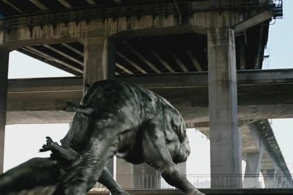 八分鐘電影：韓國殿堂級影帝宋康昊十部高分電影