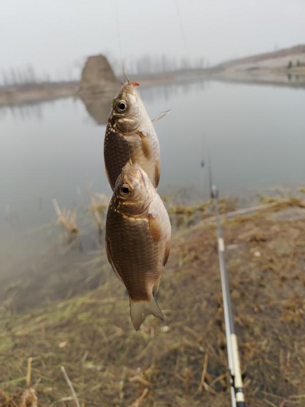 冬季釣魚堅持用小鉤細線軟竿，還要配合抄網