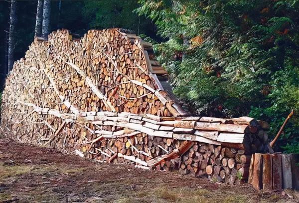 花園想要滿滿的復古風，不妨試試這些就元素