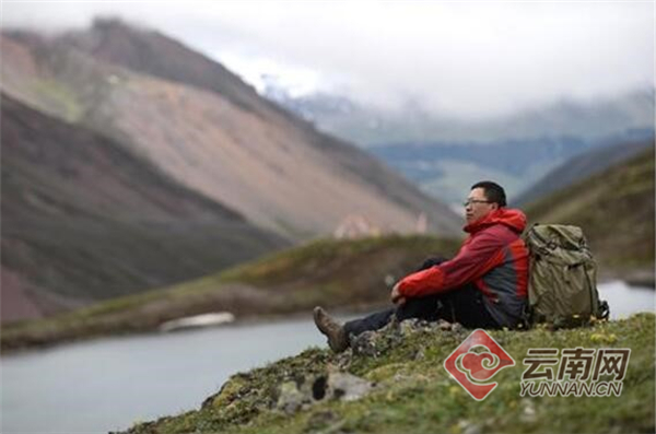 「雲南生物多樣性數字化百科圖譜」棕線枯葉蛾：歡迎來到偽裝者的世界