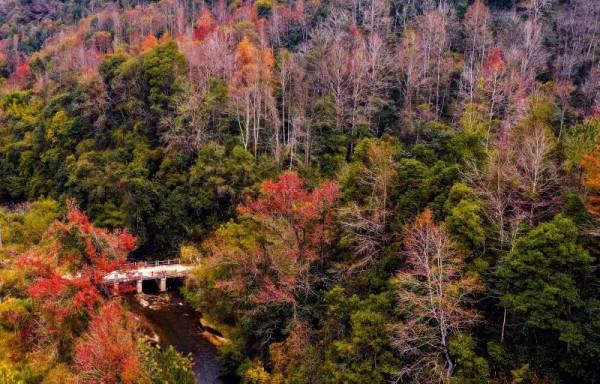 中國最美鄉村公路，就藏在廣東