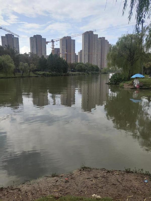 新手都可以釣到大魚,是新手光環?不是,學會調整你也可以上大魚 新手都可以釣到大魚,是新手光環?不是,學會調整你也可以上大魚