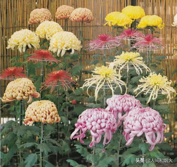 這個世界歷史中的王朝歷經2680年,傳承了126位皇帝,至今仍存在 這個世界歷史中的王朝歷經2680年,傳承了126位皇帝,至今仍存在