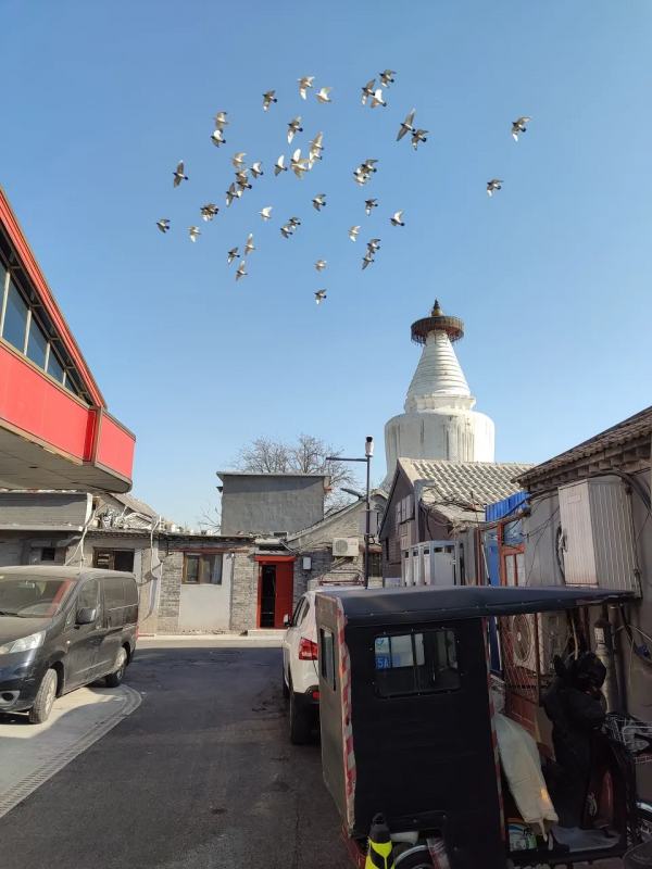 北京最古老的標誌性建築白塔寺，是內北京味兒了