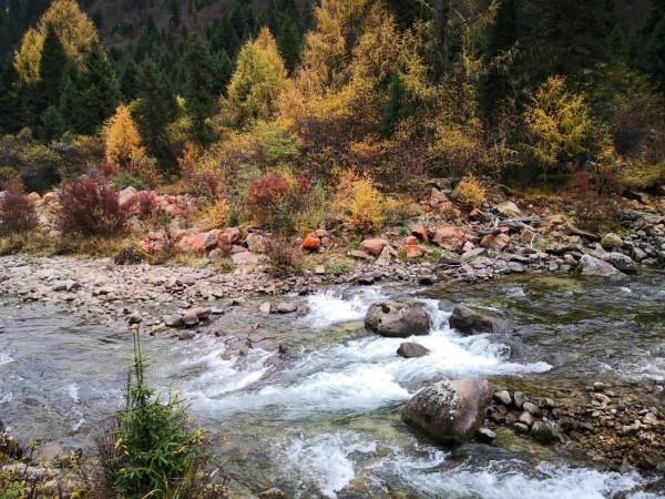 小驚喜～達古冰川山下沿途