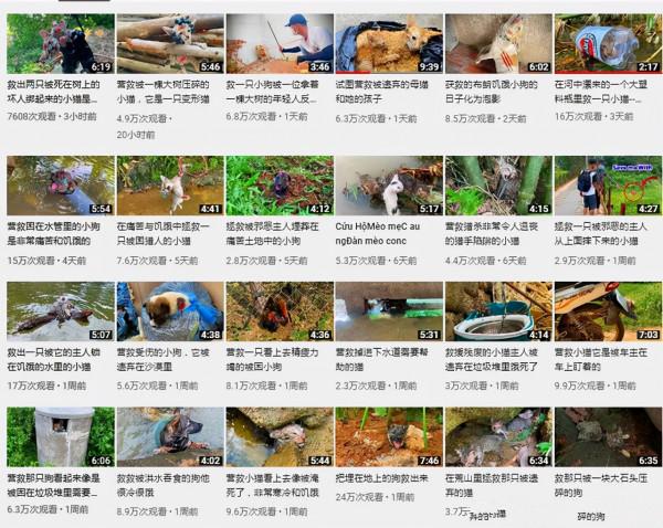 河中飄著塑膠瓶,裡面裝著1只貓,男子將貓救了起來:為了拍影片 河中飄著塑膠瓶,裡面裝著1只貓,男子將貓救了起來:為了拍影片