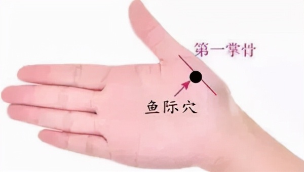 看看中彈了嗎?心臟問題常見有哪些表現表現?以及它的日常養生 看看中彈了嗎?心臟問題常見有哪些表現表現?以及它的日常養生