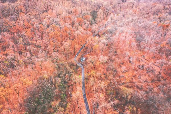 一見南京誤終身!忽然,想去金陵了 一見南京誤終身!忽然,想去金陵了
