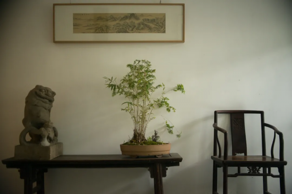 樸素簡雅的生活，給你更多滋養