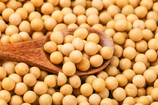 “雞兒不吃豆,豆兒是它舅”,為啥雞不吃豆呢?答案來了 “雞兒不吃豆,豆兒是它舅”,為啥雞不吃豆呢?答案來了