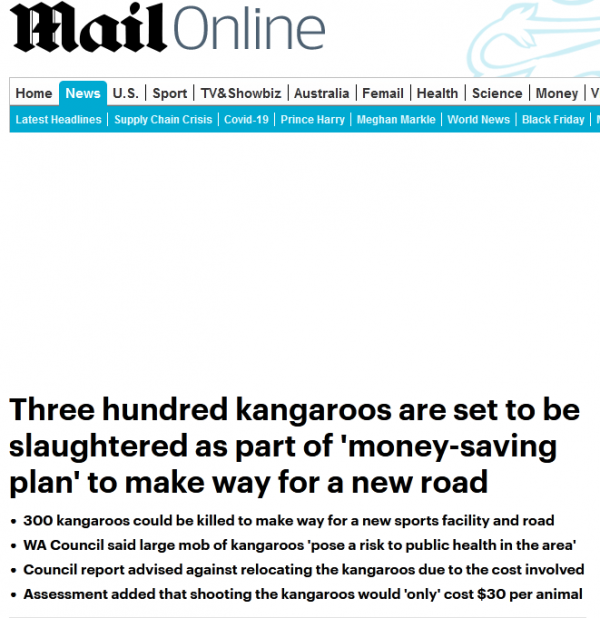 澳大利亞議會：300多隻袋鼠影響修路，最省時省錢的方式是——射殺