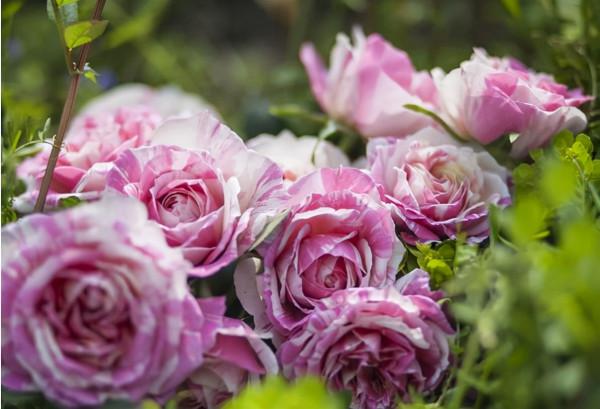 一個家庭過得幸不幸福，看看家裡的一個地方就清楚了