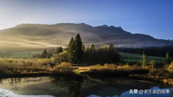 農業農村部強農惠農35條重點政策