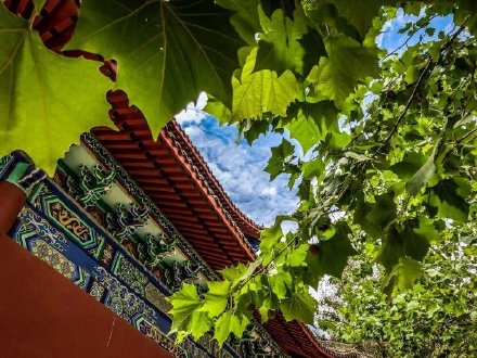 石家莊有個“小布達拉宮”