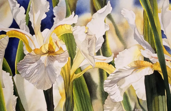 55歲拿起畫筆,成為最懂花的女人!筆下絢爛唯美的水彩花卉太美了 55歲拿起畫筆,成為最懂花的女人!筆下絢爛唯美的水彩花卉太美了