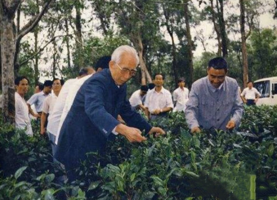 1981年，王震第七次回家鄉，笑眯眯地問工作人員：你看我兇惡不？