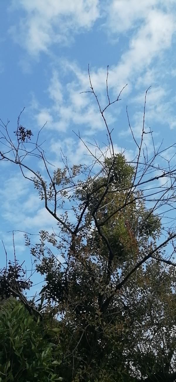 雲彩下的山城系列（九）