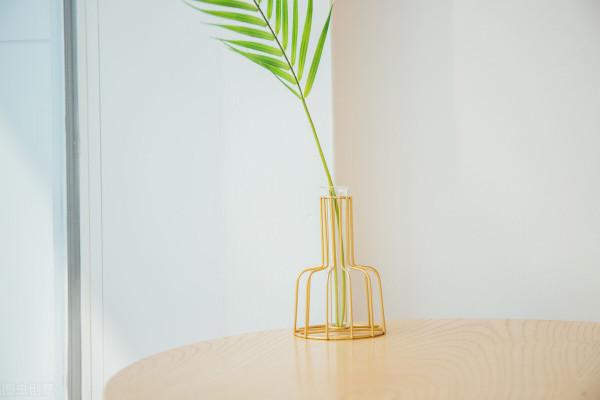 人到中年:笑看一切 人到中年:笑看一切