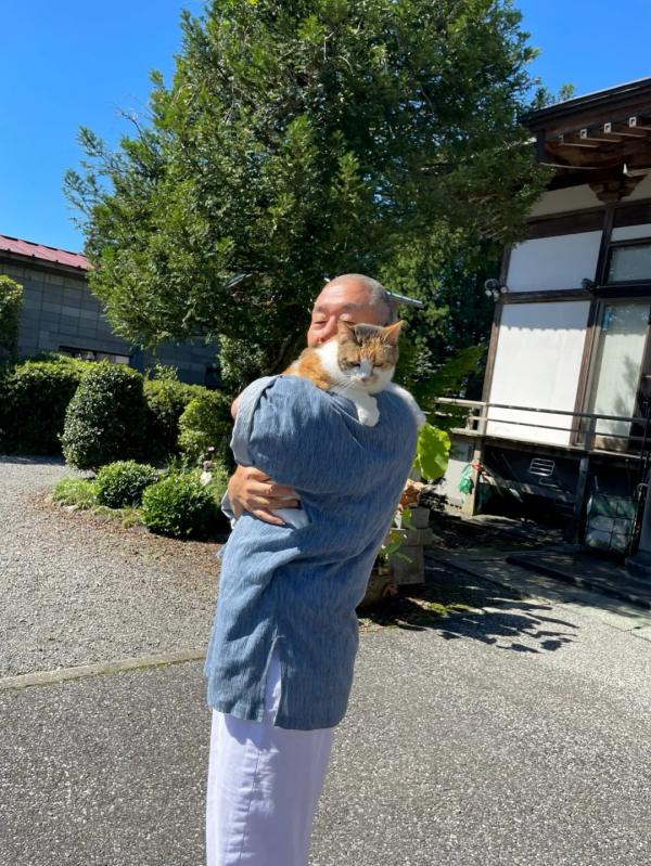 一個人和六隻貓守著一座寺院,吃飯被一群貓環繞會是怎樣的體驗? 一個人和六隻貓守著一座寺院,吃飯被一群貓環繞會是怎樣的體驗?