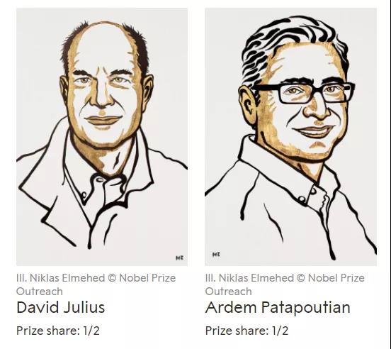 動物模型、實驗醫學與諾貝爾獎科普—2021年諾貝爾生理學或醫學獎：溫度與觸覺的動物模型與實驗醫學研究