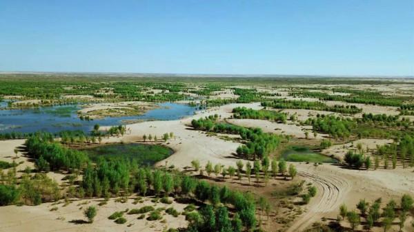 沙漠發洪水？氣候異常意味著什麼？人類能做些什麼？