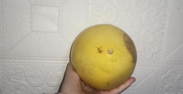 15個藏錢不容易被發現的地方,隱蔽 15個藏錢不容易被發現的地方,隱蔽