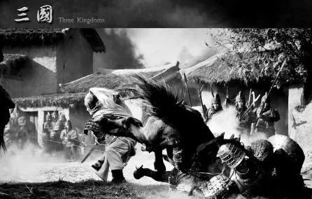 《當家主母》貓事件還未平息，網友又曝光5個劇組曾虐待動物