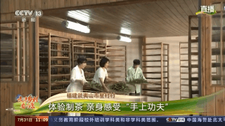 茶葉葉怎麼變成金葉葉？湖北、福建村民道出致富經