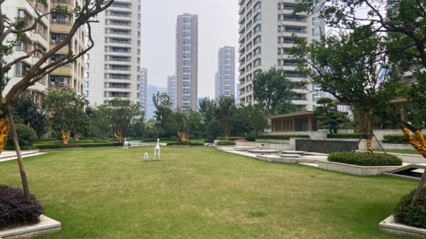 你的車位是漲是跌？應該開盤入手，還是交付後再買？