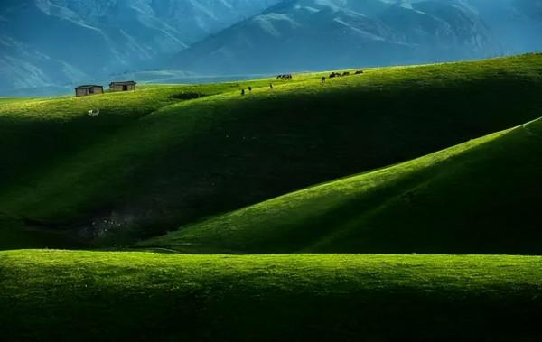 中國最美的9大草原，一輛車，三五好友，就可以馳騁在草原上