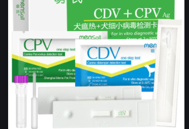 在家中常備這幾種藥，你的寵物再也不怕生病了