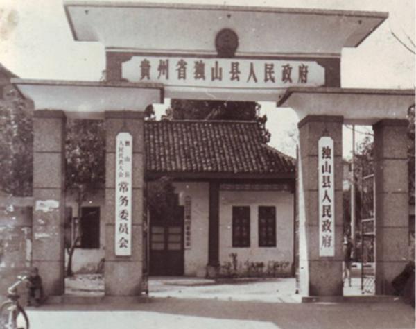 王震找縣長辦事被“耍官威”，上將葉飛得知後大怒：將其革職查辦