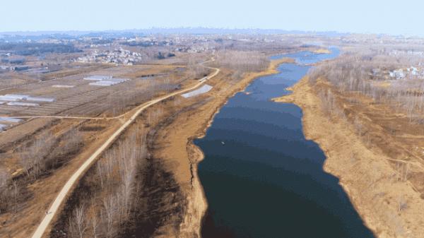 澳大利亞重金通緝一條鯉魚，懸賞500萬！這條鯉魚究竟做了什麼？