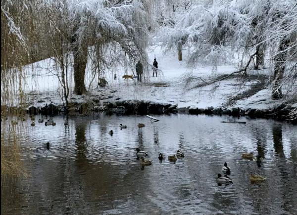 凍壞了！溫哥華體感-20度，世界最冷15個地方其中14個在加拿大