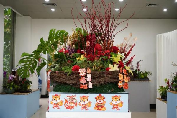 年宵花卉組合盆栽觀賞圖鑑～丨小葉子陪你過大年