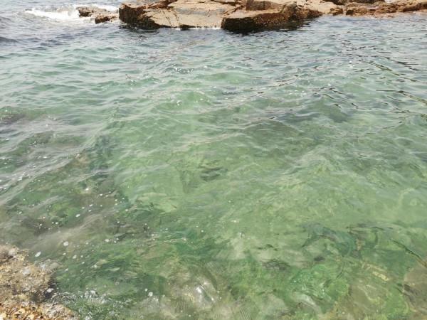 這麼好玩的地方怎麼才發現？