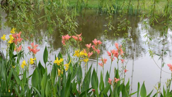 身體與靈魂,生活與文字,總有一個一直在路上 身體與靈魂,生活與文字,總有一個一直在路上