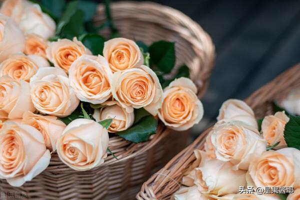 十二星座專屬的顏色，水瓶座是藍色，金牛座是金色，你呢？