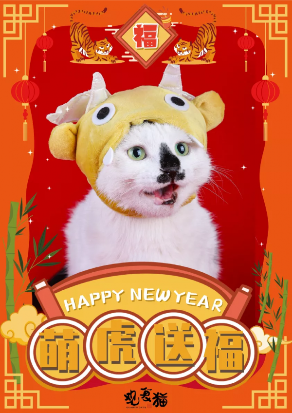 觀復貓拜大年，嗷嗚