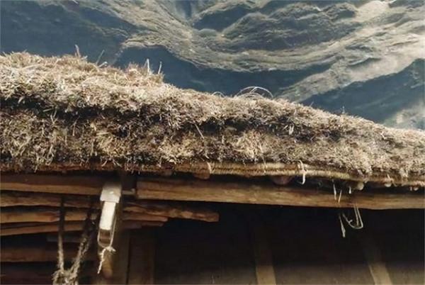 貴州一家五代人隱居山洞上百年，給錢也不搬：城裡人沒這個福氣