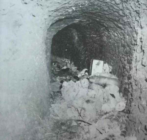 血沃硫磺島(十六) 血沃硫磺島(十六)