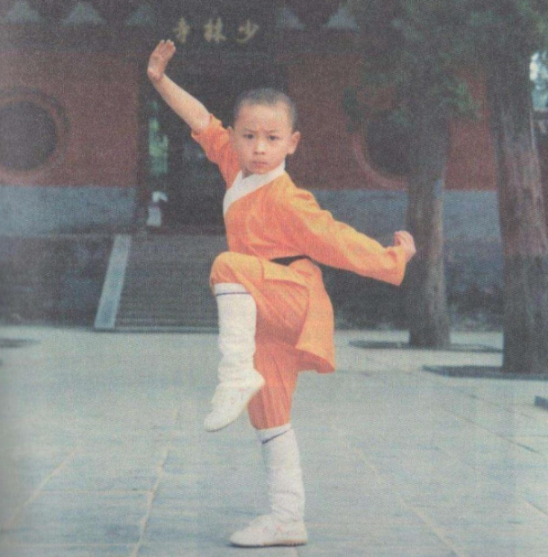 釋小龍的隕落史，從最火童星到淪為路人甲，這些年他做了什麼？