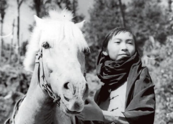 第一個甩了謝賢的女人，因慈善向那英下跪，蕭芳芳到底是什麼來頭