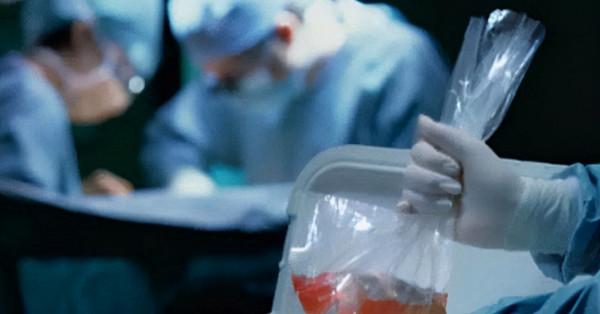 1984年,美國母親為給初生女兒續命,冒險移植狒狒心臟,最後怎樣了? 1984年,美國母親為給初生女兒續命,冒險移植狒狒心臟,最後怎樣了?