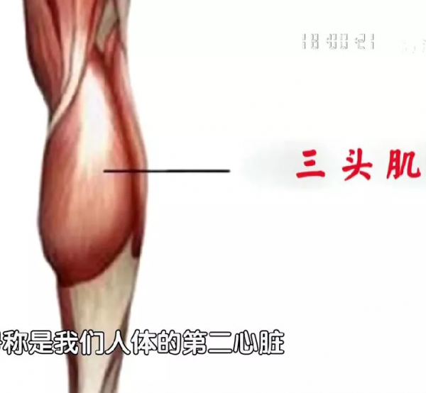 跌倒成65歲以上老人的“頭號殺手”!學會三招,遠離致命一跌 跌倒成65歲以上老人的“頭號殺手”!學會三招,遠離致命一跌