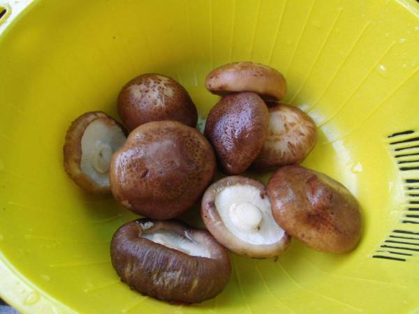 天冷，分享6道鐵板菜，邊吃邊加熱，越吃越暖和，有電餅鐺也能做